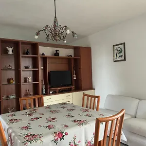  Appartamento Pm Via Delle Mimose Italia